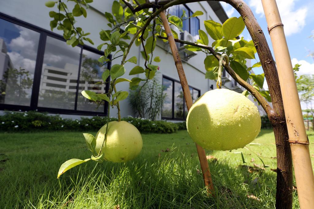 S Ratchada Leisure Hotel - Sha Plus Bangkok Exteriör bild Citrus ×sinensis